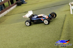 2015 DM 4WD Buggy 4WD Juni